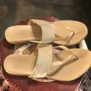 Tan slides